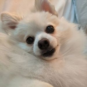 Meet your Posher, Sandra